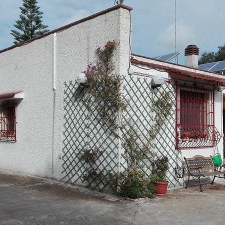 B&B Villa Lucia Mesagne Dış mekan fotoğraf