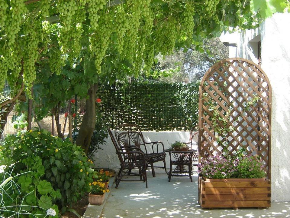 B&B Villa Lucia Mesagne Dış mekan fotoğraf