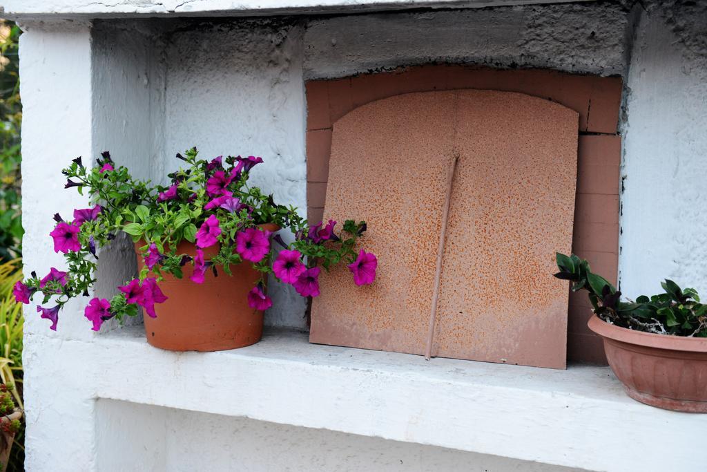 B&B Villa Lucia Mesagne Dış mekan fotoğraf