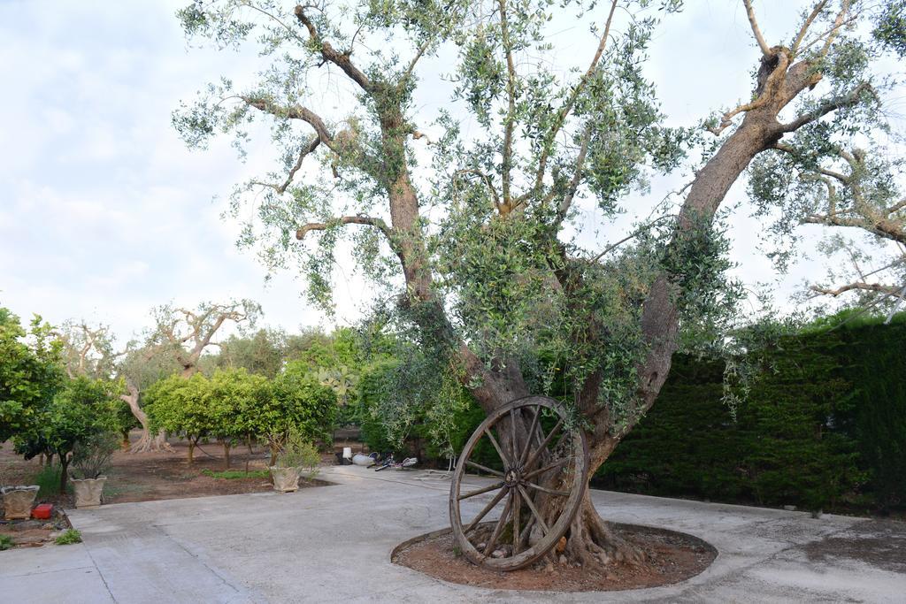 B&B Villa Lucia Mesagne Dış mekan fotoğraf