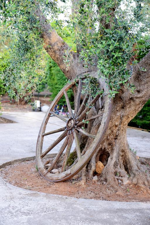 B&B Villa Lucia Mesagne Dış mekan fotoğraf