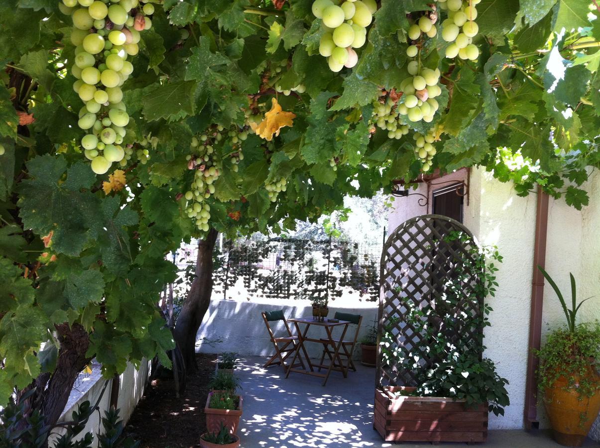 B&B Villa Lucia Mesagne Dış mekan fotoğraf