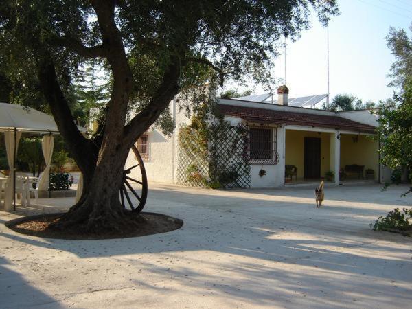B&B Villa Lucia Mesagne Dış mekan fotoğraf
